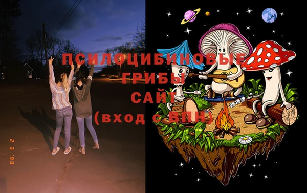 ГАЛЛЮЦИНОГЕННЫЕ ГРИБЫ Белоозёрский