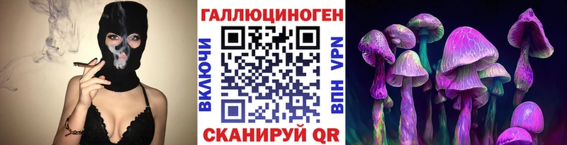 купить наркотик  hydra маркетплейс  Псилоцибиновые грибы ЛСД  дарк нет клад  Куровское 
